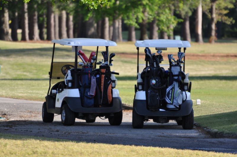 Golf carts 1w.JPG